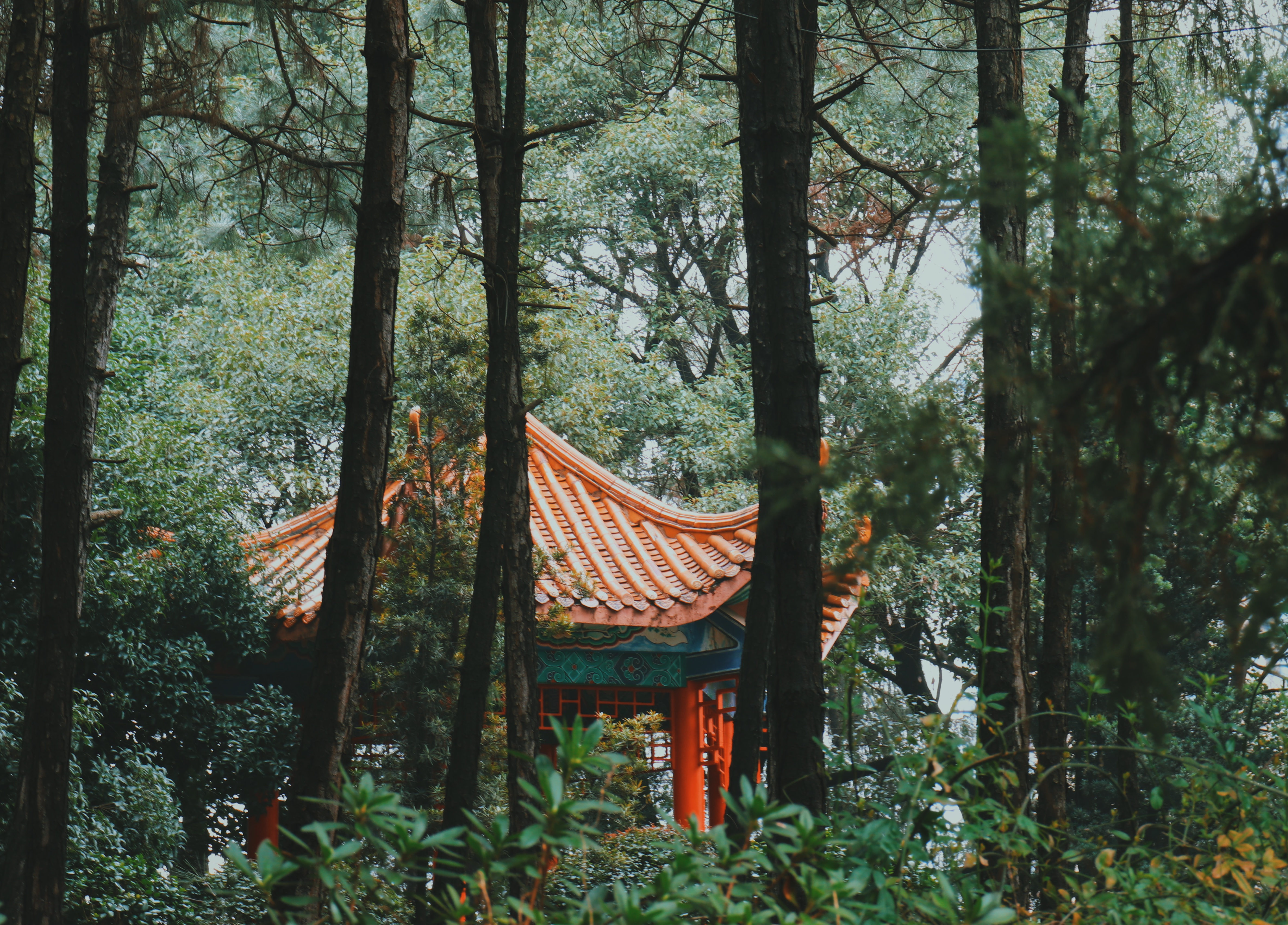 陶然亭