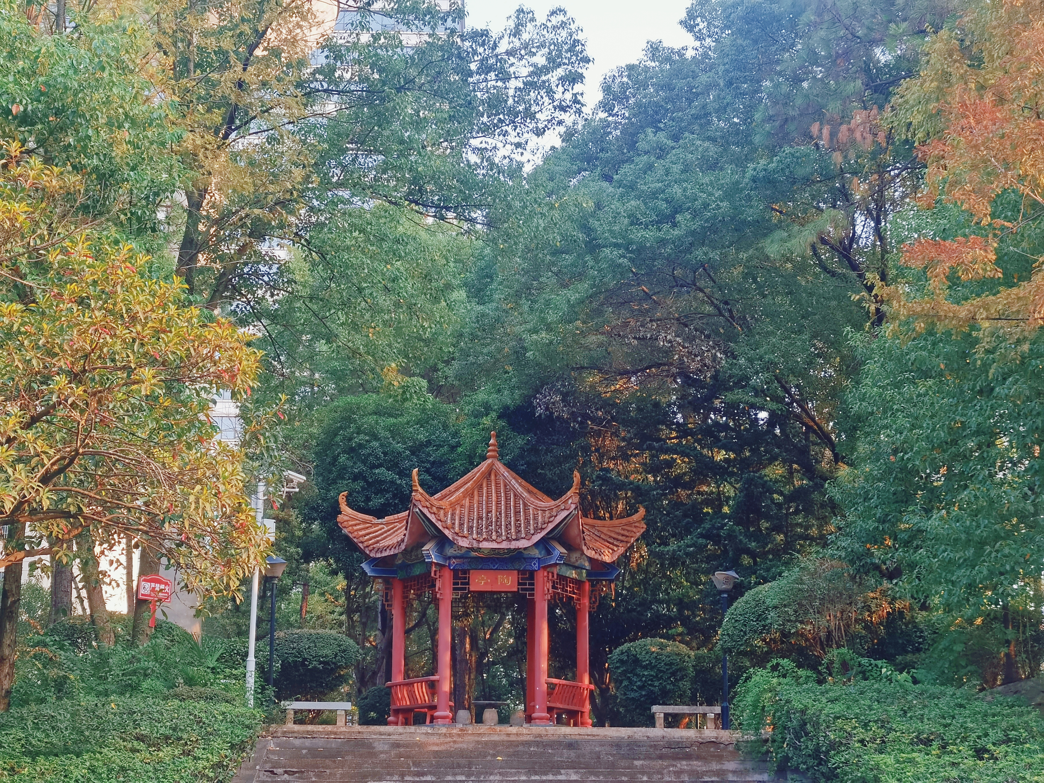 校园风景2